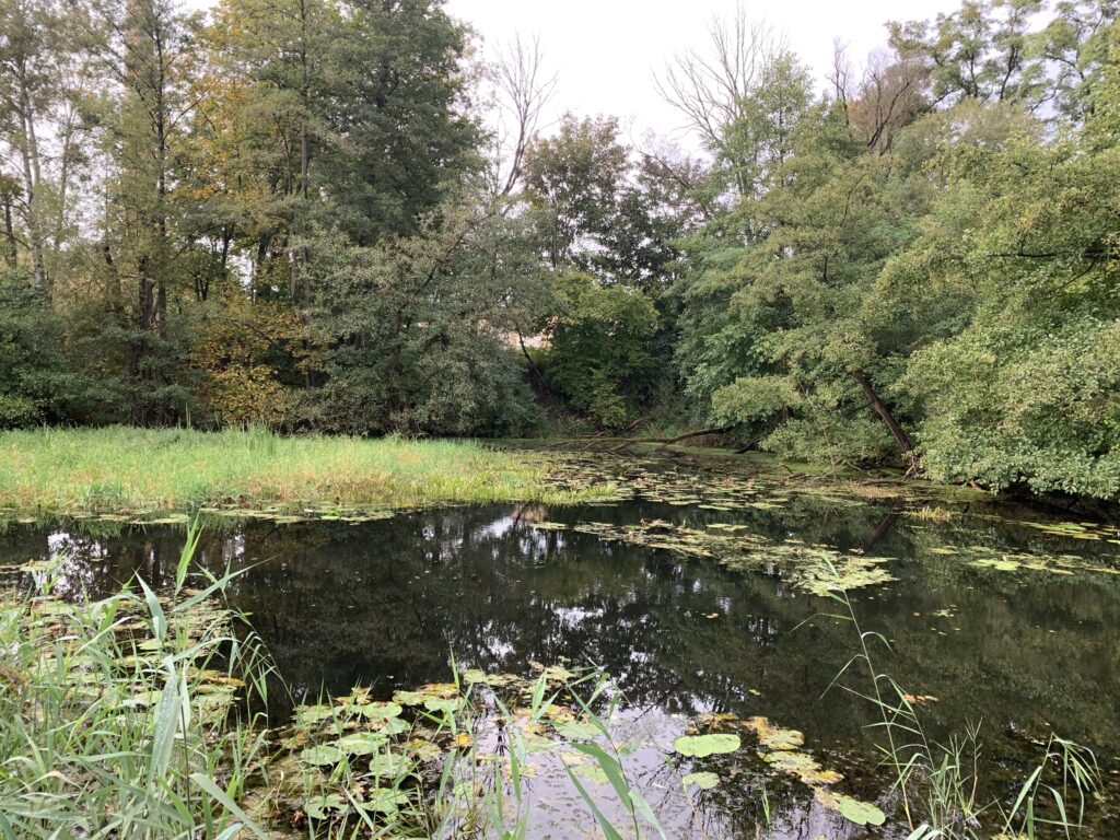 Blick über den Mäckerkanal auf ein stillgelegtes Industriegelände mit Schornstein