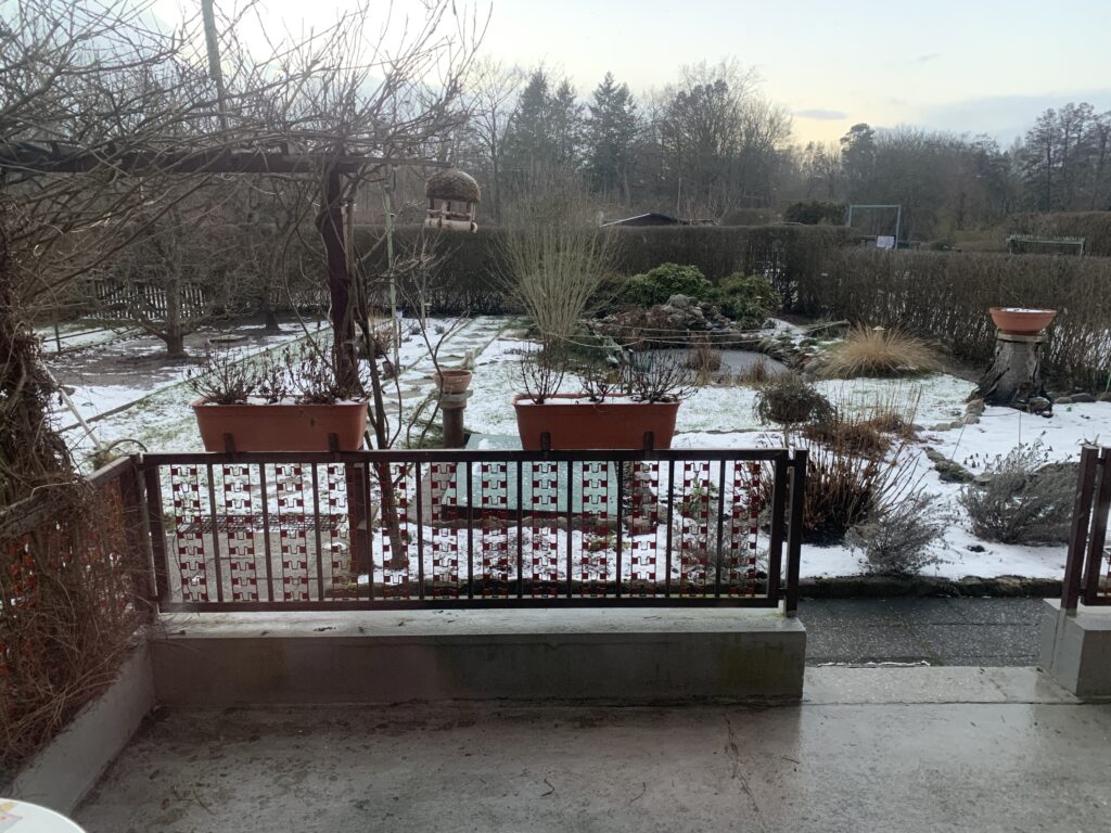Der Garten, bedeckt von einer zarten Schneedecke