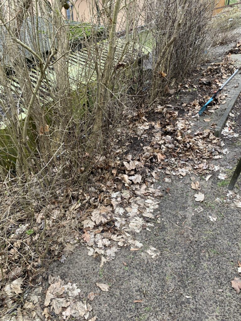 Das Laub muss weg