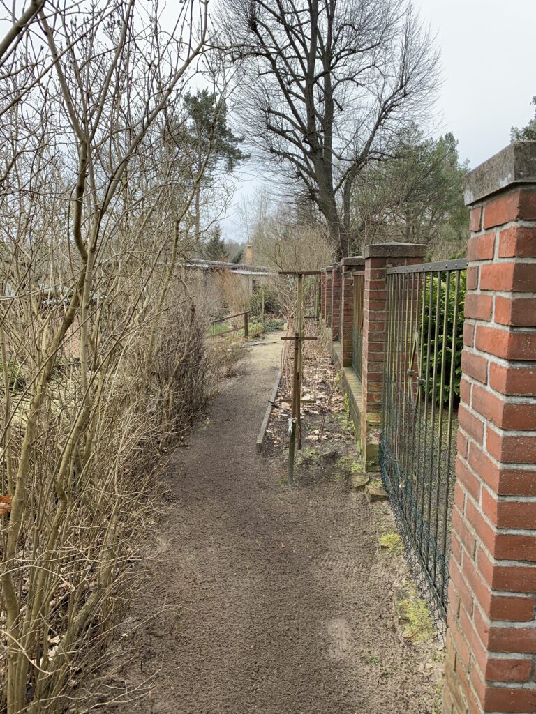 Auch im hinteren Bereich muss ein Garten vernünftig aussehen