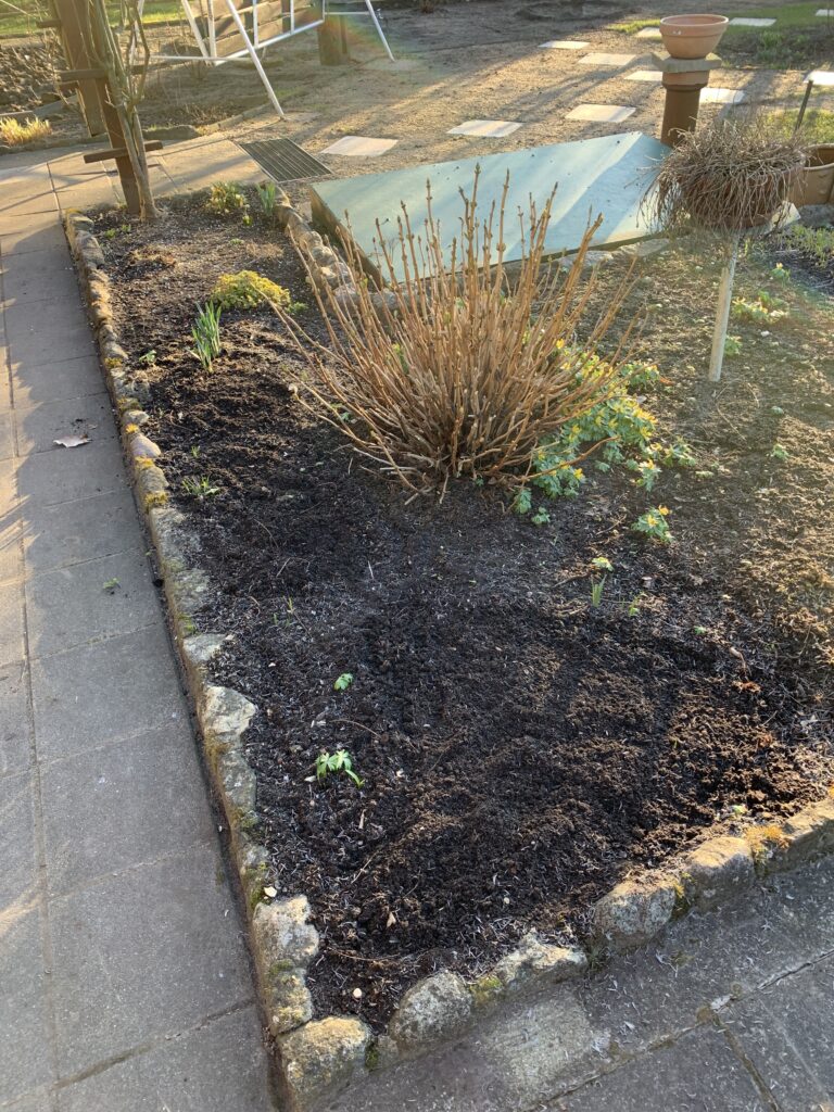 Das große Blumenbeet nach dem erneuten "Kahlschlag"