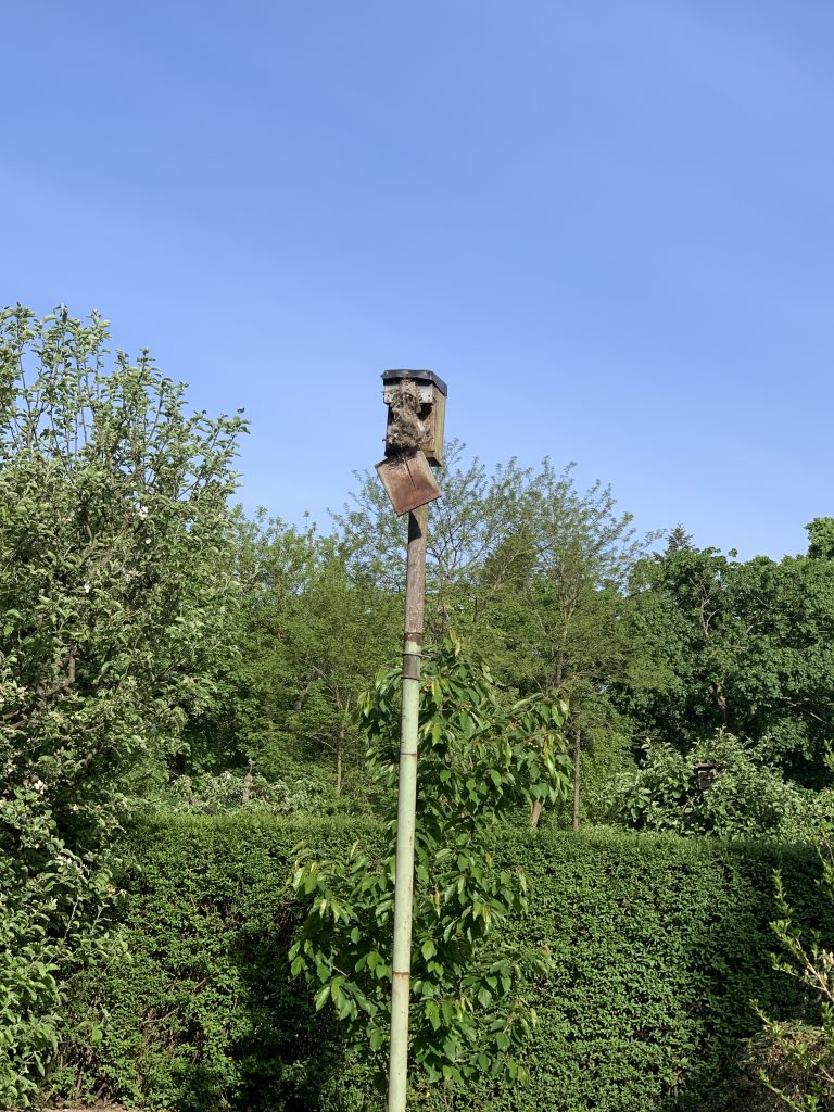 Auch in einem Vogelhäuschen sammelt sich im Laufe der Jahre sehr viel Müll an