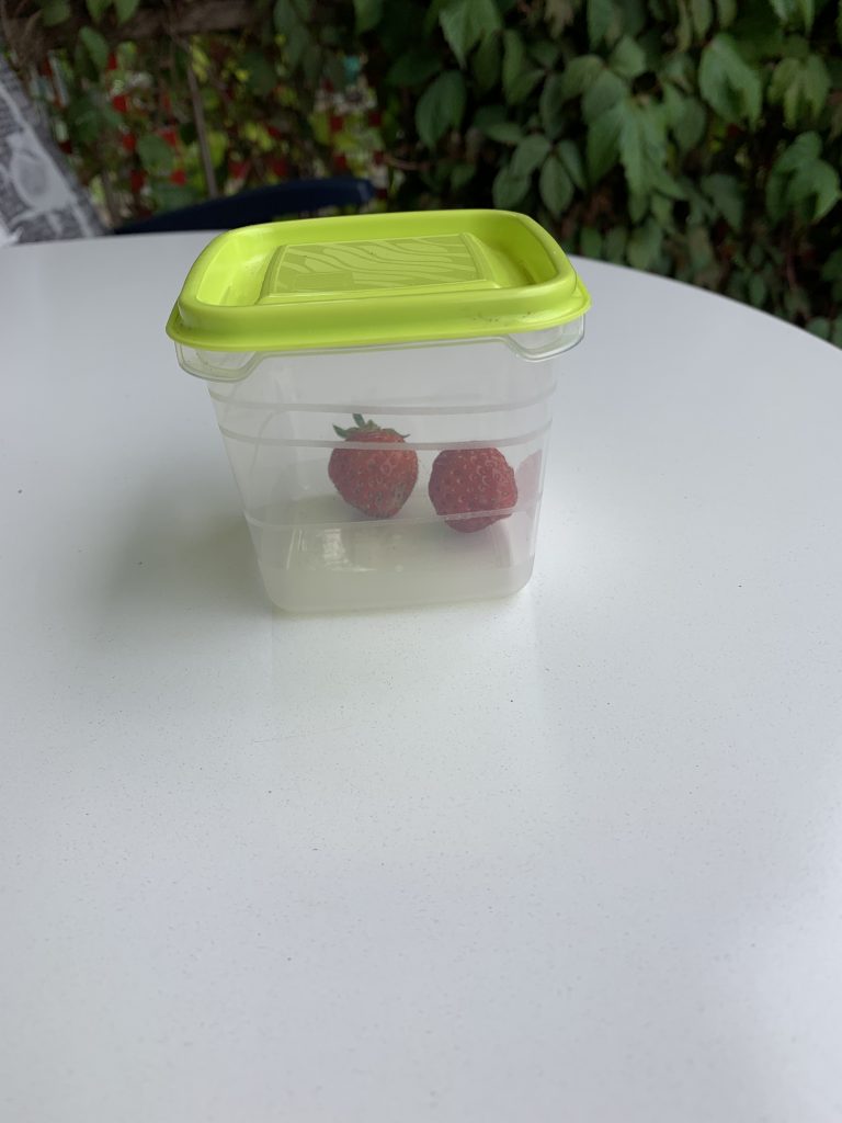Die ersten Erdbeeren werden gehütet wie ein Goldschatz ;)