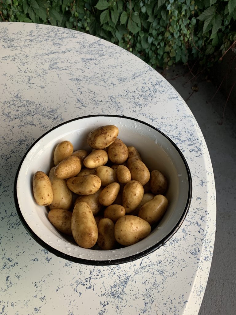 Gesäuberte Kartoffeln