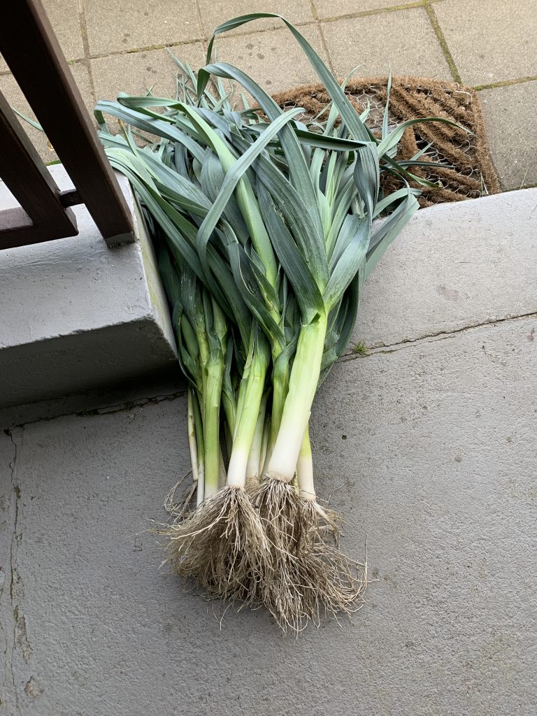 Nur das Beste für unsere liebe Gartennachbarin